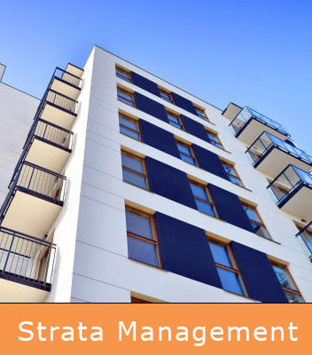 Strata Management